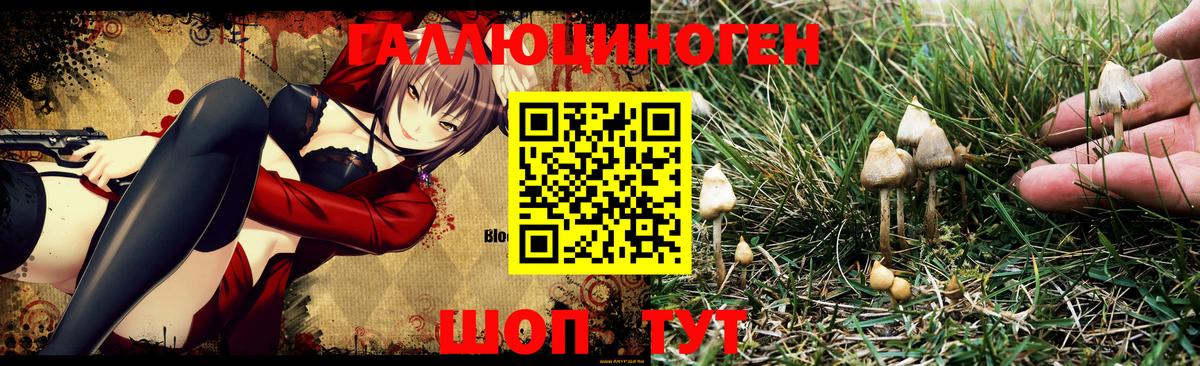 Галлюциногенные грибы Magic Shrooms  Вход с VPN  наркошоп  Псилоцибиновые грибы ЛСД  Кызыл 